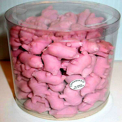 100 Miniature Baby Pig S Piglets Mint Condition B Shackman We Ship Worldwide